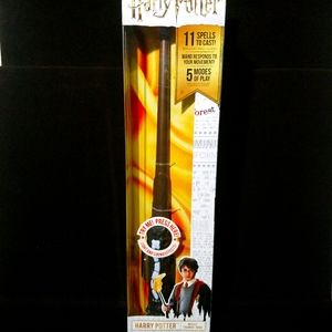 Harry Potter Wizard Training wand